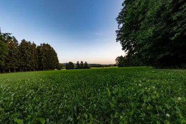 Arka planda mavi gökyüzü olan güzel yeşil alan