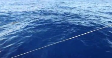 okyanus yelkenli tekne