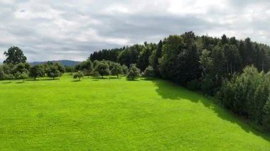 Yazın kırsal alanın havadan görünüşü