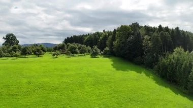 Arkasında yeşil tarlalar ve orman olan güzel doğa manzarası.