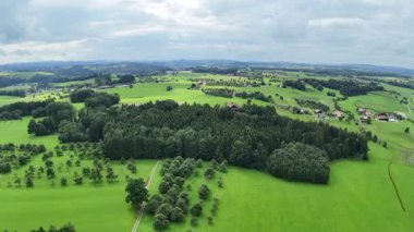 Küçük bir ülkedeki yeşil ağaçların hava görüntüsü.