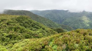 Madeira 'da çimenli yeşil arazinin havadan görünüşü 