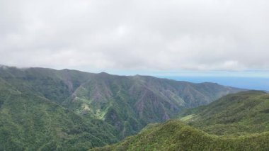 Madeira 'da çimenli yeşil arazinin havadan görünüşü 