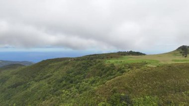 Madeira, Azores, Portekiz 'in güzel manzarası