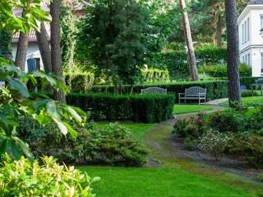 Yeşil, yemyeşil bir bahçe ve içinden geçen bir patika. Yol boyunca birkaç bank ve arka planda birkaç ağaç var. Sahne huzurlu ve huzurlu. Konstantin Jeziorna, Polonya 21-06-2025.