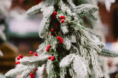 Kırmızı böğürtlen ve beyaz karlı bir ağaç. Ağaç sepetlerle çevrili.