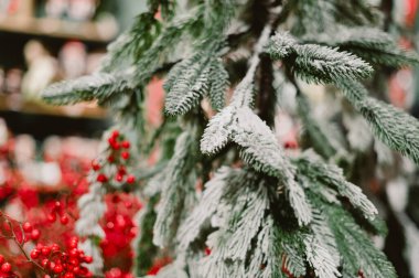 Kırmızı böğürtlen ve beyaz karlı bir ağaç. Ağaç sepetlerle çevrili.
