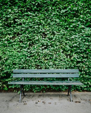 Yeşil çalılıklardan oluşan bir duvarın önünde yeşil bir bank oturuyor. Sahne huzurlu ve sakin, bankta oturmak ve doğal ortamın tadını çıkarmak için bir yer var.