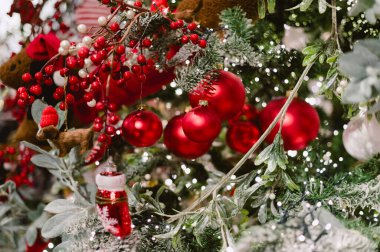 Kırmızı ve yeşil süslemeli bir ağaç. Ağaçta beş kırmızı top var.