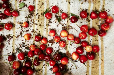 Kirazlar beyaz bir beze saçılmış. Kirazlar kırmızıdır ve hafif çürük bir görünüşü vardır. Bereket ve tazelik kavramı, kirazlar olgunlaşmış ve yenmeye hazır.