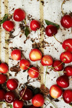 Kırmızı kirazlar beyaz arka plana saçılmış. Kirazlar olgunlaştı ve yenmeye hazır. Telefon duvar kâğıdı. Dikey arkaplan.