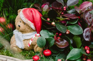 Kırmızı şapka ve beyaz atkı takan bir oyuncak ayı. Ayı çimlerin üzerinde oturuyor.