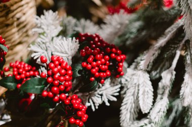 Kırmızı böğürtlen ve beyaz karlı bir ağaç. Ağaç sepetlerle çevrili.