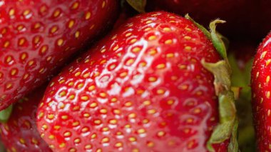 Yeşil saplı kırmızı bir çileğe yaklaş. Tazelik ve doğal güzellik kavramı