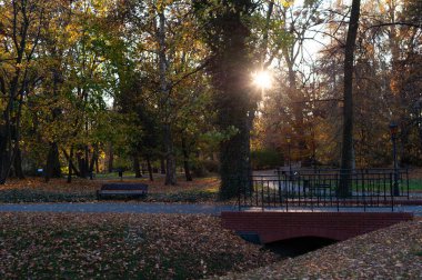 Köprüsü ve bankı olan bir park. Güneş yaprakların üzerinde parlıyor.