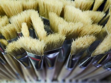 Bir sürü fırça dizilmiş durumda. Hepsi aynı renkte. Tüyleri beyaz.