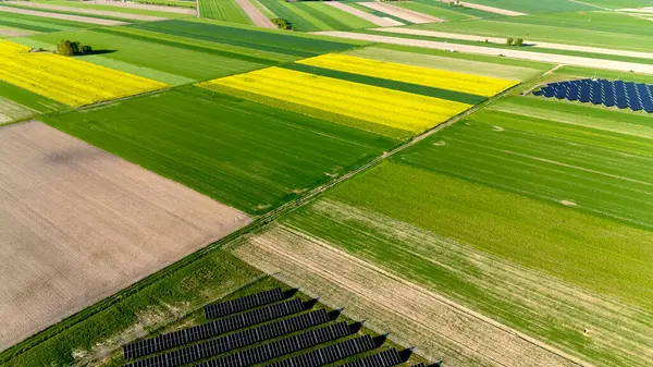 Ortasında birkaç siyah kare olan bir ekin tarlası. Alan yeşil ve sarı. Gökyüzü manzarası.