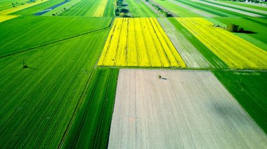 Ortasında birkaç siyah kare olan bir ekin tarlası. Alan yeşil ve sarı. Gökyüzü manzarası.