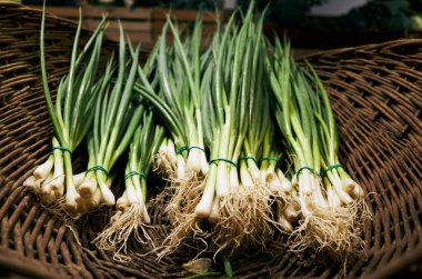 Bir sepet dolusu saplı yeşil soğan. Soğanlar taze ve kullanılmaya hazır. Sepet dokuma malzemesinden yapılır ve bir masanın üzerine yerleştirilir.
