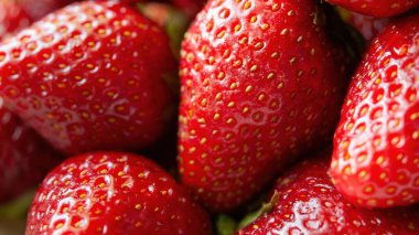 Bir sürü kırmızı çilek yakın çekim. Çilekler taze ve olgun, parlak kırmızı bir renk ve küçük yeşil yapraklarla. Tazelik ve bolluk kavramı, çileklerin üst üste yığılması gibi.