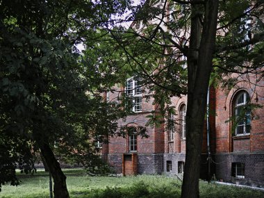 Önünde ağaç olan bir sıra tuğla bina. Binalar eski ve tarih bilinci var. Poznan, Polonya 22.06.2024.