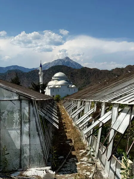 Türkiye 'nin Cirali kentindeki seralar, yerel camiye doğru ilerliyorlar. Arkalarında tepe katmanları ve arkada Tahtali Dağı var..