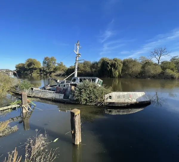 Batı Londra 'da Thames Nehri' nde batan kısmen batık ve terk edilmiş bir römorkör. Teknenin dışında büyüyen ağaçlar var. Parlak güneşli bir gün..