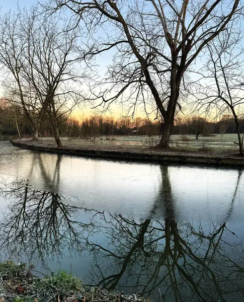 Kışın gün doğumunda Londra 'da bir parkta çıplak ağaçlar. Bugün soğuk bir sabah ve kanal kısmen dondu. Ağaçlar kanal suyuna yansıyor..