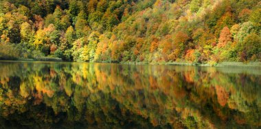 Sonbahar ağaçlarının düşüşü suya yansıyor. Hırvatistan 'daki Plitvice ulusal parkında mevsimlik sarı ve portakal ağaçları çekimi.