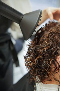 Kıvırcık kıvırcık saçlar. Bir tutam saç, nemlendirici kıvırcık saç. Bir kuaförün ellerinde kıvırcık saçlar. Kıvırcık kız yöntemi CGM