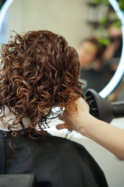 Modern bir güzellik salonunda Kıvırcık Kız Yöntemi 'nin (CGM) bir parçası olarak bir difüzör kullanarak kıvırcık saçlı profesyonel kuaför stilisti. Saç bakımı, saç şekillendirme rutinleri, doğal güzellik konuları için ideal bir imaj..