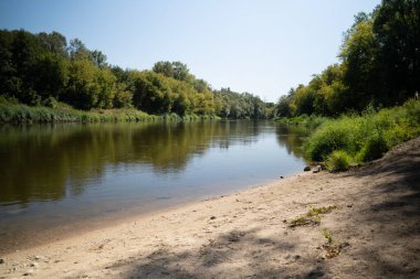 Güneşli bir yaz gününde, ağaçların ve çalıların yeşilliğine batmış Warta nehrinin kıyısında. Sudaki ağaçların güzel yansımaları.