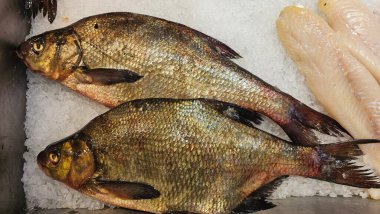 Balık pazarında buzdaki taze balıkların yakın plan görüntüsü. Ekranda çeşitli balık türleri gösteriliyor