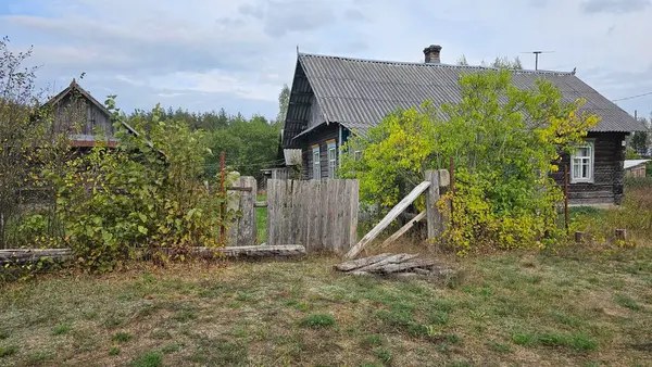 Belarus köyünde asbest çatılı, bulutlu gökyüzünün altında yeşil çimenler ve çalılarla çevrili ahşap bir ev. Yüksek kalite fotoğraf