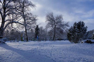 İskoç kışı. Karlı bir parkın ortasında, büyük, dallı bir ağaç. Huzurlu, beyaz bir kış manzarasıyla çevrili. Arka planda oyun alanı var. İskoçya