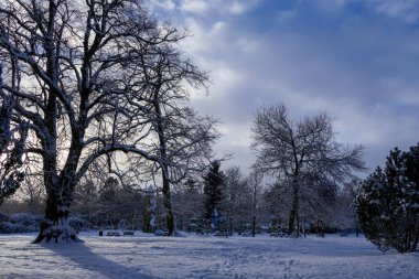 İskoç kışı. Karlı bir parkın ortasında, büyük, dallı bir ağaç. Huzurlu, beyaz bir kış manzarasıyla çevrili. Arka planda oyun alanı var. İskoçya