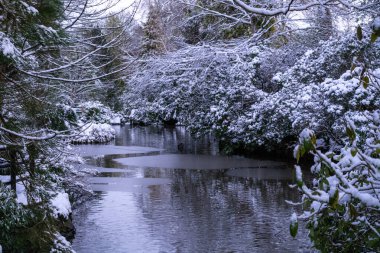 Sakin kış sahnesi, İskoçya 'da donmuş bir göl göleti, donmuş sazlıklar ve karla kaplı ağaçlar yakalıyor. 