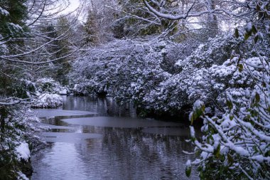 Sakin kış sahnesi, İskoçya 'da donmuş bir göl göleti, donmuş sazlıklar ve karla kaplı ağaçlar yakalıyor. 