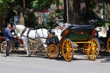Malaga İspanya 6 Nisan 2025 Kiralık at arabası fotoğrafı. Güneşli bir günde gezmek. Malaga Yüksek Kaliteli Fotoğrafta Turist Çekimi