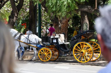 Malaga İspanya 6 Nisan 2025 Kiralık at arabası fotoğrafı. Güneşli bir günde gezmek. Malaga Yüksek Kaliteli Fotoğrafta Turist Çekimi