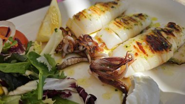 Yanında limon ve yeşil salata yapraklarıyla beyaz tabakta ızgara kalamar. İspanya Malaga Yüksek Kaliteli Fotoğraf