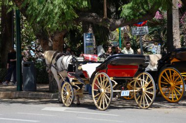 Malaga İspanya 6 Nisan 2025 Kiralık at arabası fotoğrafı. Güneşli bir günde gezmek. Malaga Yüksek Kaliteli Fotoğrafta Turist Çekimi