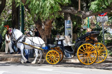 Malaga İspanya 6 Nisan 2025 Kiralık at arabası fotoğrafı. Güneşli bir günde gezmek. Malaga Yüksek Kaliteli Fotoğrafta Turist Çekimi