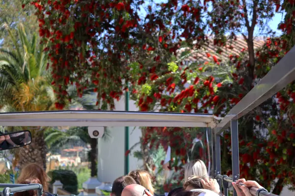 Malaga İspanya 8 Nisan 2025 Hop On Hop Off tur otobüsleri üst güvertede oturan insanlardan oluşan bir grup. Yüksek kalite fotoğraf