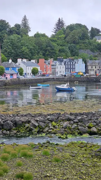 Tobermory, İskoçya 16 Haziran 2024 Tobermory rıhtımındaki renkli evler görülüyor. Dalgalar çekildi. Gri Gök. Yüksek kalite fotoğraf
