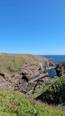 Scotland Cliffside panoramik kuzey deniz manzarası. Mavi gökyüzü. Yuva kuran kuşlar. Şelale. Kuşlar yüksek kaliteli FullHD görüntülerinin etrafında uçuyor.