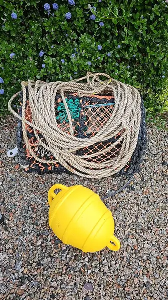 Kayalık zeminde sarı şamandıralı ve ipli tek bir ıstakoz yengeci kapanı fotoğrafı. Hobi olarak. Yüksek kalite fotoğraf