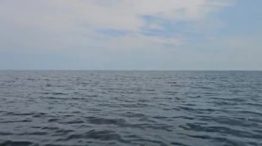 Balıkçı teknesinden alınan deniz manzarası. Arka planda yunuslar zıplıyor. Mavi gökyüzü. Yüksek kalite 4k görüntü