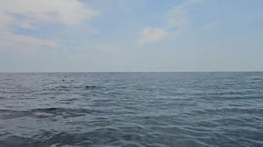 Balıkçı teknesinden alınan deniz manzarası. Arka planda yunuslar zıplıyor. Mavi gökyüzü. Yüksek kalite 4k görüntü