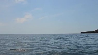 Balıkçı teknesinden alınan deniz manzarası. Arka planda yunuslar zıplıyor. Mavi gökyüzü. Yüksek kalite 4k görüntü
